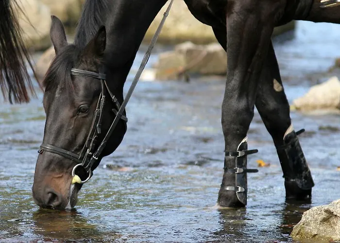 Hotel Stara Szmergielnia Bielsko-Biala